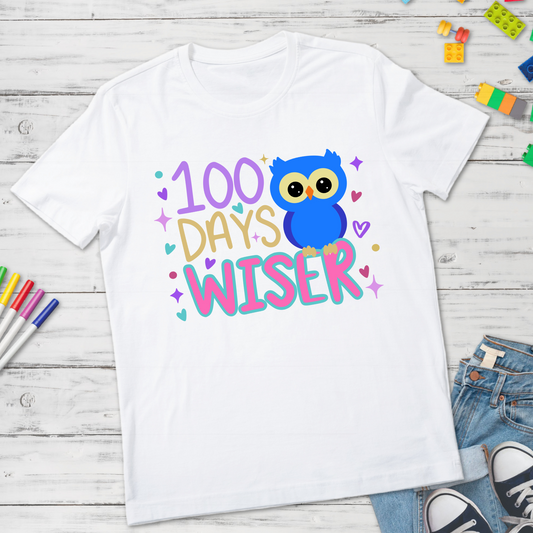 100 Days Wiser