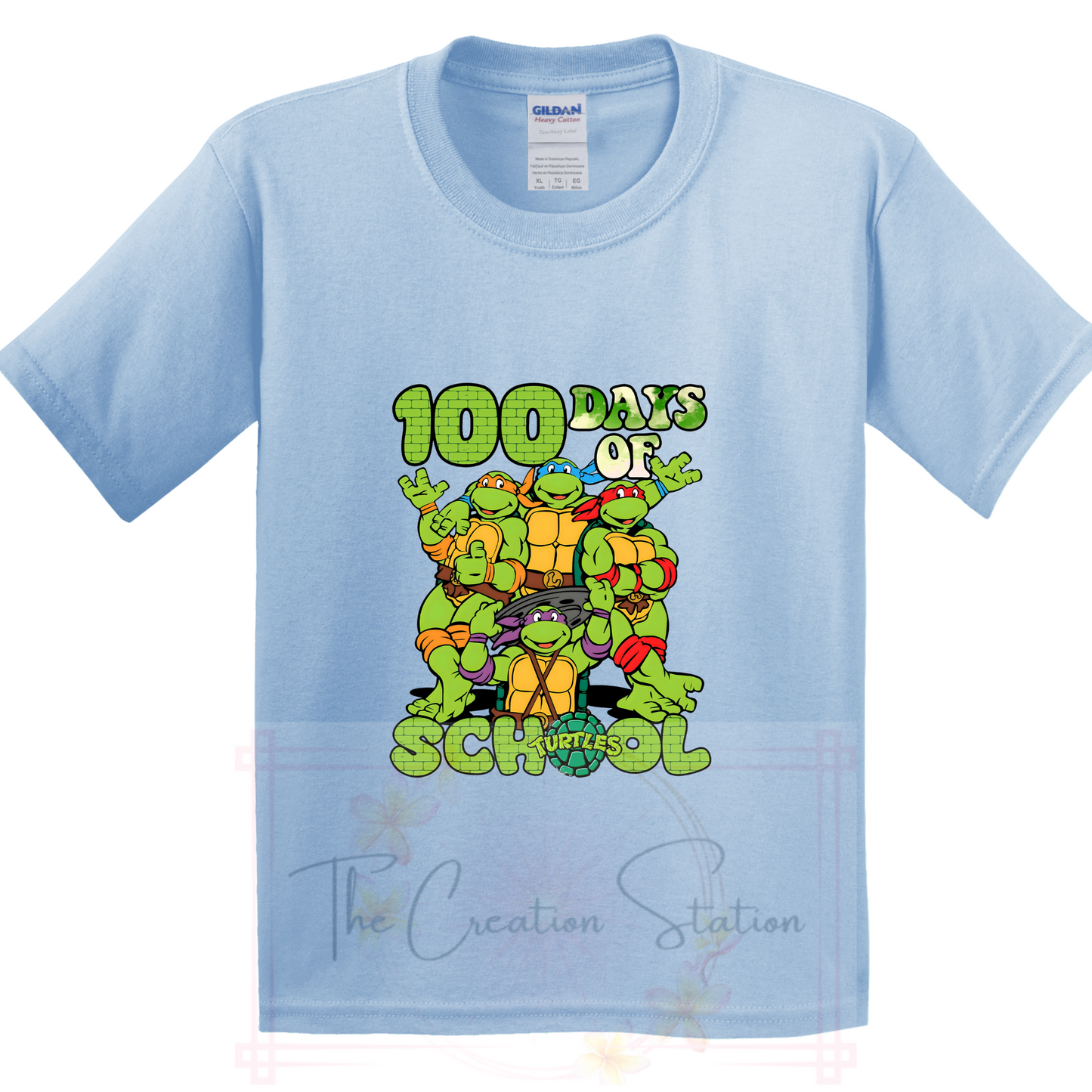 100 Days Turtles